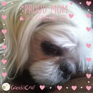 Meet your Posher, Dianna